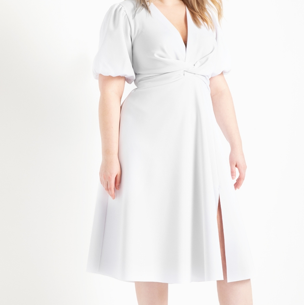 Puff sleeve fit and flare dress